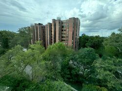 Botanic Gardens View (D10), Apartment #460422851